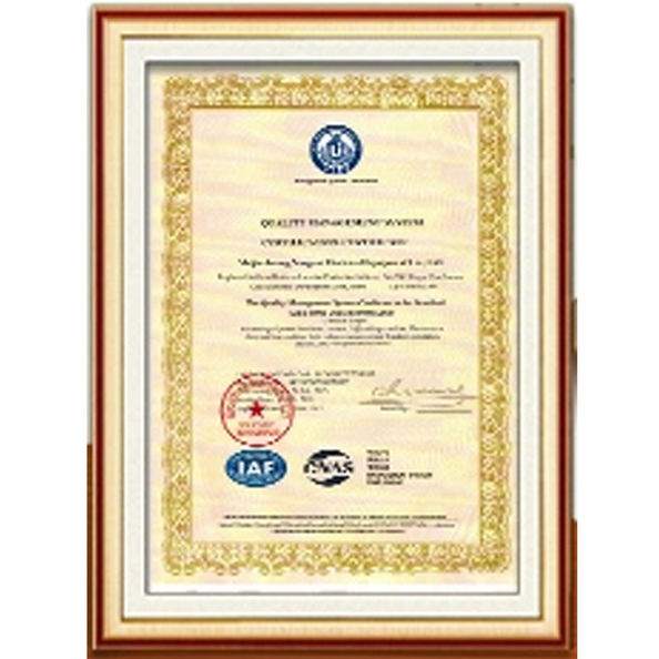 Chiny Dongguan Zhaoyi Hardware Products Co., LTD. Certyfikaty